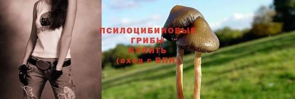 шишки Абдулино